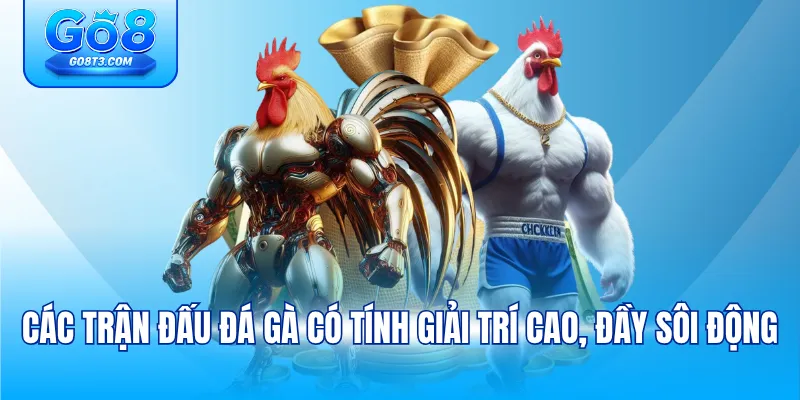 Các trận đấu đá gà có tính giải trí cao, đầy sôi động