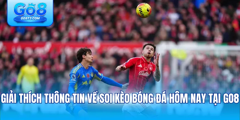Giải thích thông tin về soi kèo bóng đá hôm nay tại Go8