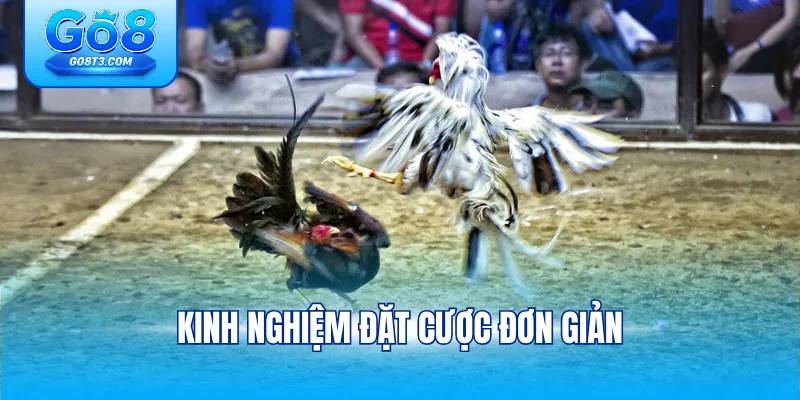 Kinh nghiệm đặt cược đơn giản