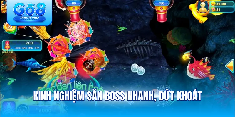 Kinh nghiệm săn boss nhanh, dứt khoát