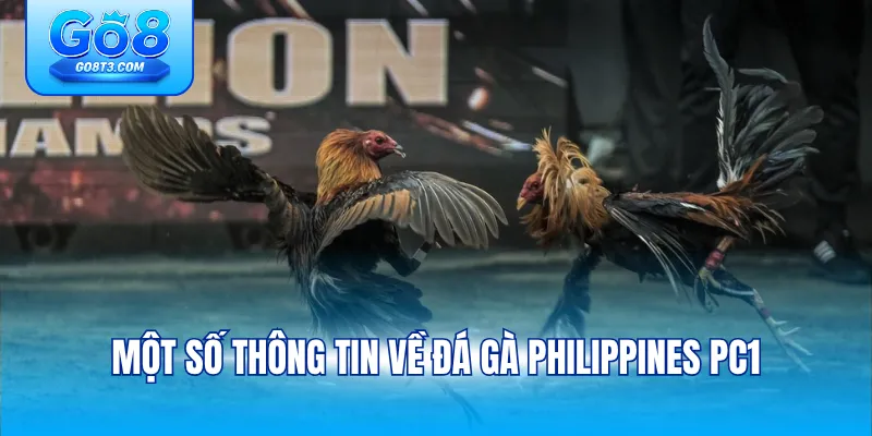 Một số thông tin về đá gà philippines pc1